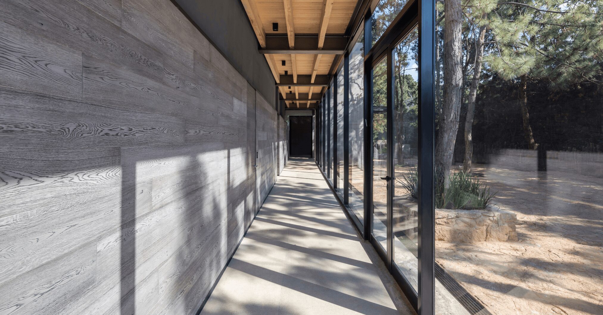 Natural Light in Contemporary Architecture